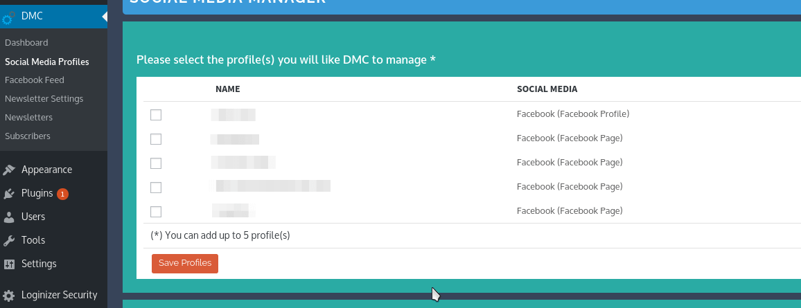 Select a Facebook Profile to manage