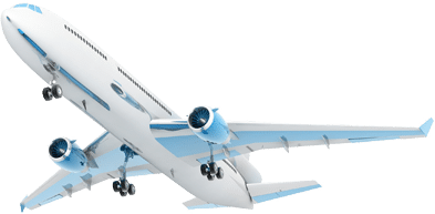 professional worldwide customs clearance