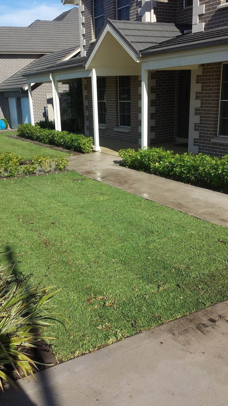 Sydney's Hot Weather