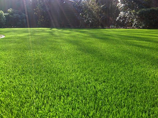 turf supplies kellyville ridge