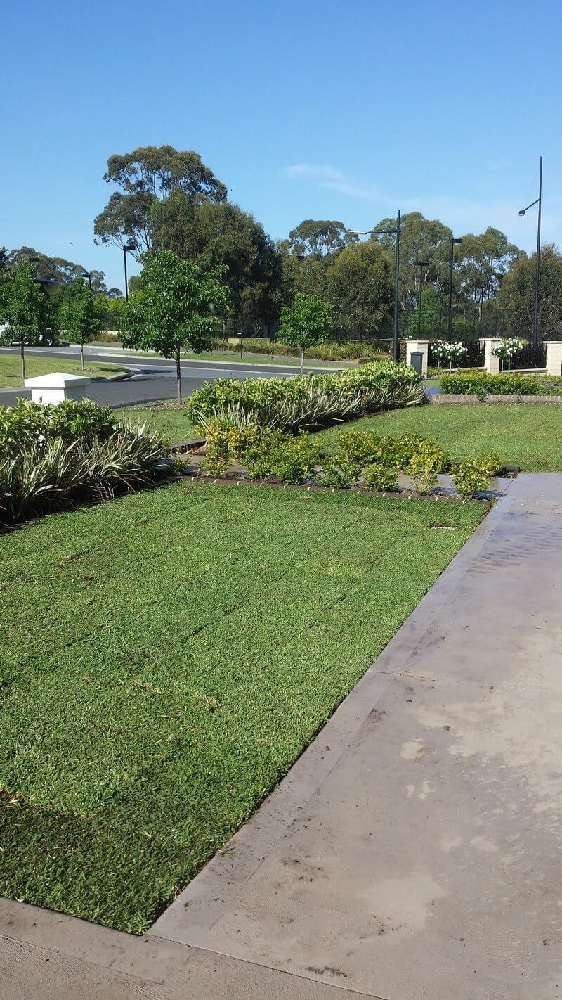 Turf Growers Associated Turf Supplies