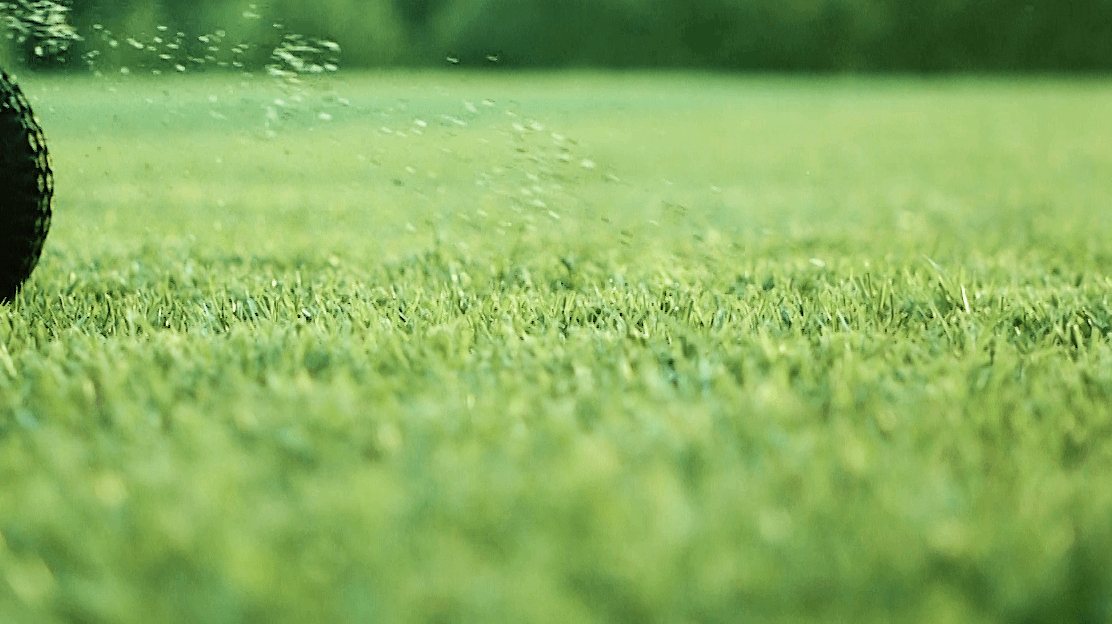 turf supplies windsor