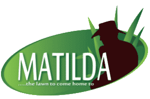 Matilda turf - Soft Leaf Buffalo Grass