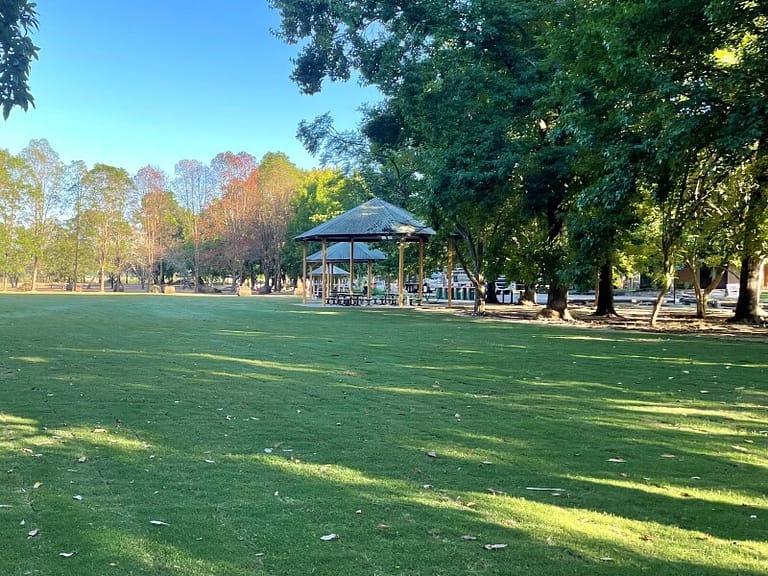 Greenlees Park Couch Grass Sydney Sports Field Turf