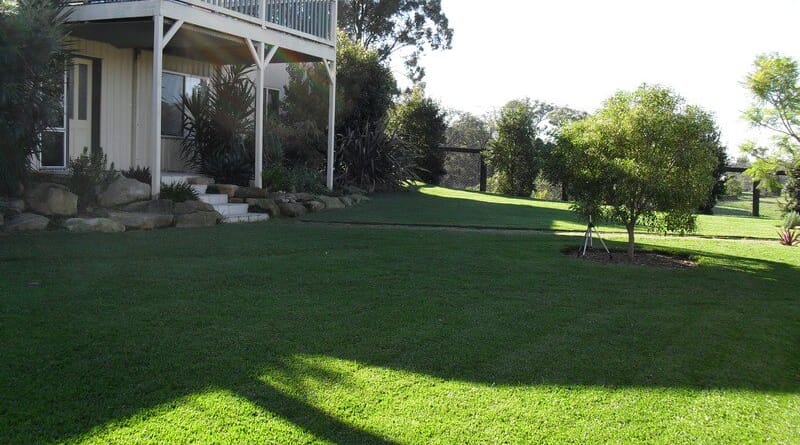Sydney Lawn and Turf Supplies